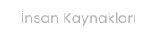 İnsan Kaynakları