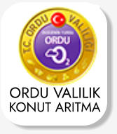 ORDU VALİLİK KONUT ARITMA
