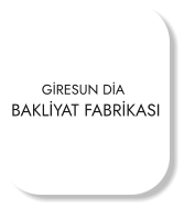 GİRESUN DİA BAKLİYAT FABRİKASI